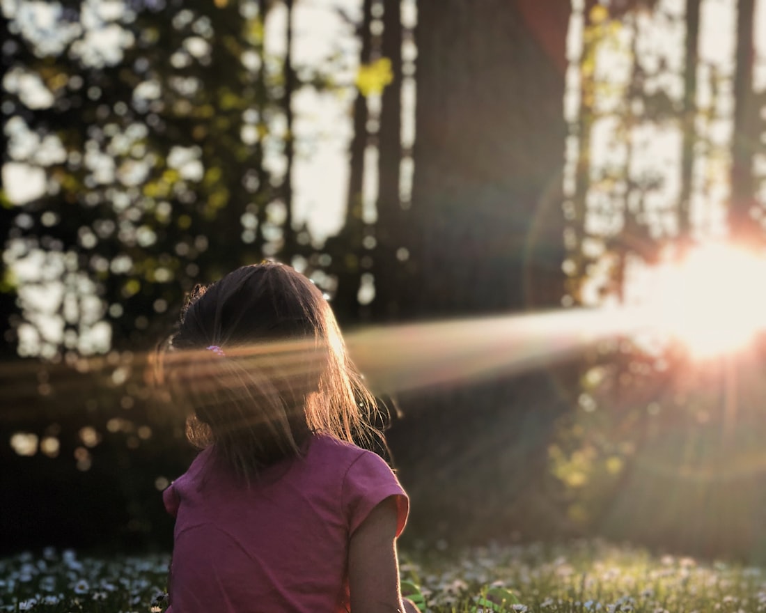 A child sitting among daisies in a sunlit forest at golden hour